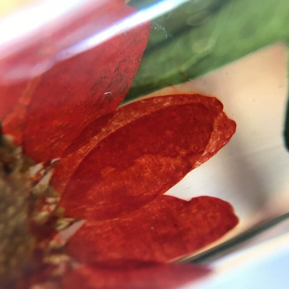 Wild Island Botanist Cuff - Picture 5 of 5